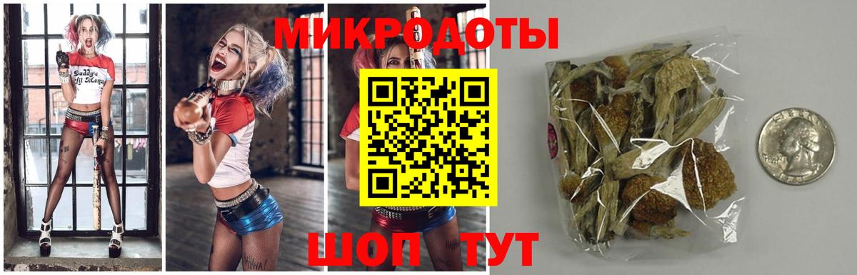 Чапаевск  Галлюциногенные грибы GOLDEN TEACHER  Галлюциногенные грибы прущие грибы  Вход с VPN 