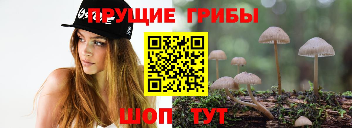 Галлюциногенные грибы MAGIC MUSHROOMS Чапаевск